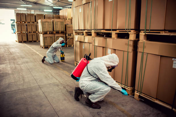 Best Wildlife Control Services  in Duluth, GA