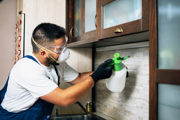 Professional Pest Control in Duluth, GA