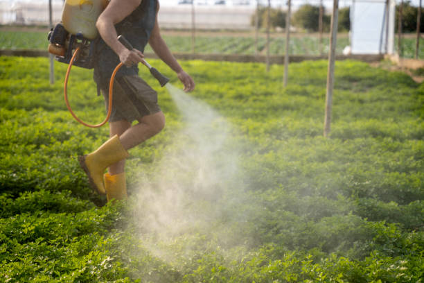 Best Pest Control for Restaurants  in Duluth, GA