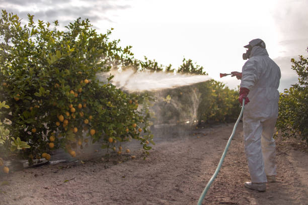 Pest Control for Restaurants in Duluth, GA