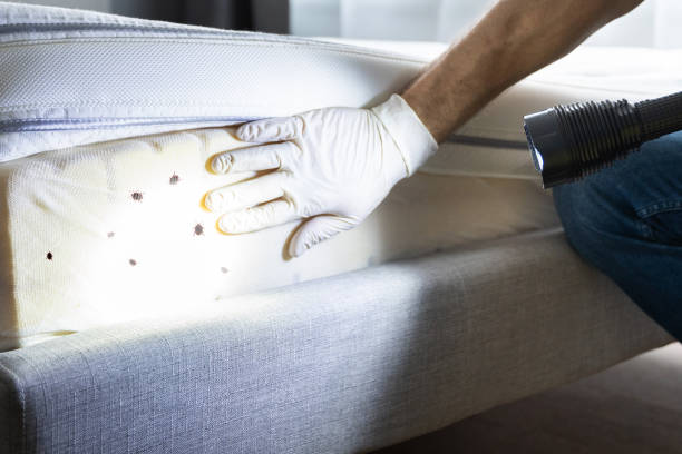 Best Pest Prevention Services  in Duluth, GA