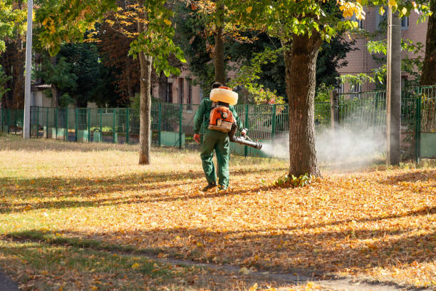 Best Pest Control for Businesses  in Duluth, GA