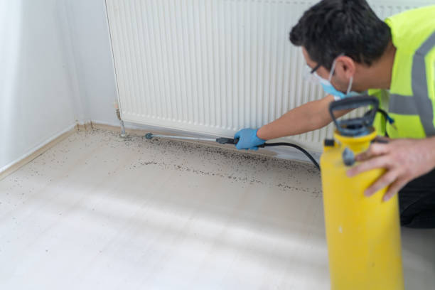 Best Commercial Pest Control Services  in Duluth, GA