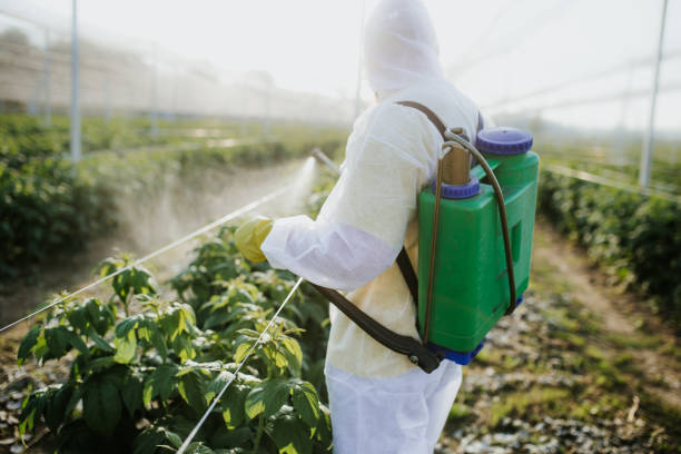  Duluth, GA Pest Control Pros